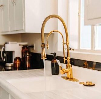 West Fairfax House | Botanical Oasis