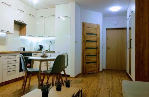 Busko-Zdroj Apartment | Bounty