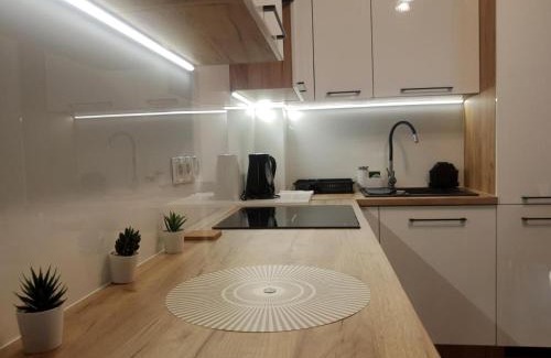 Busko-Zdroj Apartment | Bounty