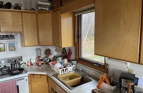 Deerwood Cabin | BOWHUNTERS FALL PARADISE! 50 acres of lakeshore forest, and only YOU! Big bucks!