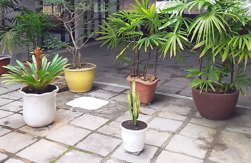 Manguinhos Apartment | Geribá - Búzios - Suite 33 - Economical Rental