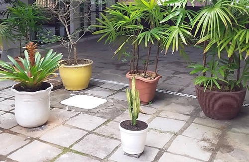 Manguinhos Apartment | Geribá - Búzios - Suite 35 - Economical Rental