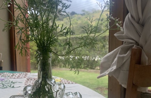 Alto da Boa Vista Cottage | Retiro na Montanha com Muita Natureza e Arte!