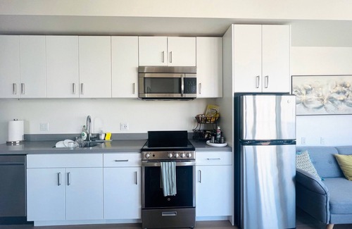 Lower Pacific Heights Condo | Brand NEW Airy 1 Bedroom Condo in Nob Hill