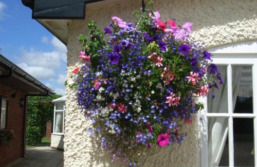 Hereford House | Brandon Lodge