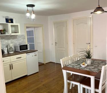Historic Center Apartment | BRICK VILLA