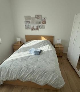 Maladiere Apartment | Bright and Modern Apartment in Dijon