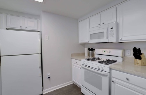 Ballston Apartment | Bright Apt Near Ballston Shops