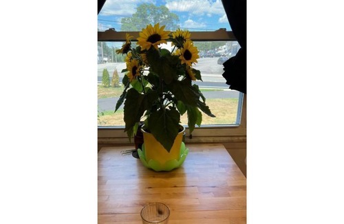 Johnston Apartment | Bright & Comfy Private Entrnce Suite | 1-BR | Kitc