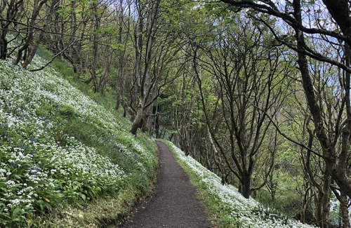 Bushmills House | Bright modern home, an ideal base for touring the Causeway Coast