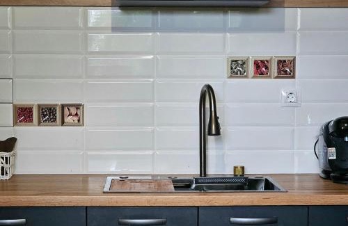 Mosoaia Villa | Brit House Pitesti X