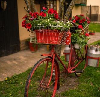 Novi Sad House | Brkin salaš