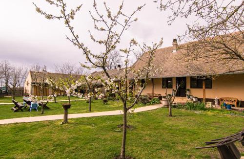 Novi Sad House | Brkin salaš