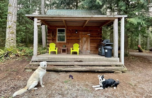 Regional District of Nanaimo Cabin | Broad Axed Rustic Log Cabin w/Cozy Woodstove