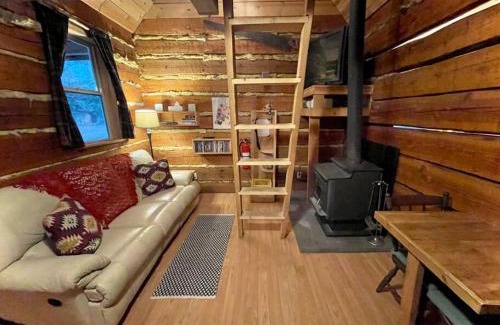 Regional District of Nanaimo House | Broad Axed Rustic Log Cabin with Cozy Woodstove