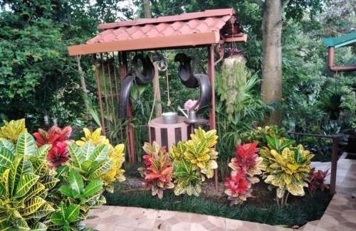Alajuela Villa | Bromelias