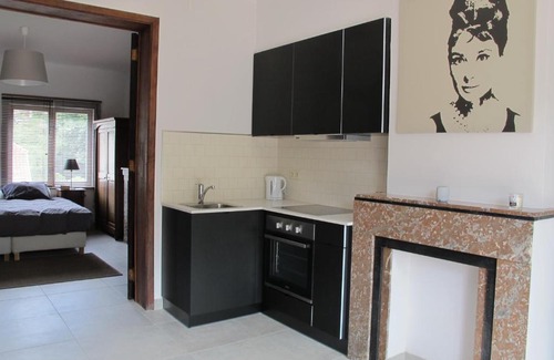 Vossegat-Roosendaal Apartment | Brussels Downtown with terrace