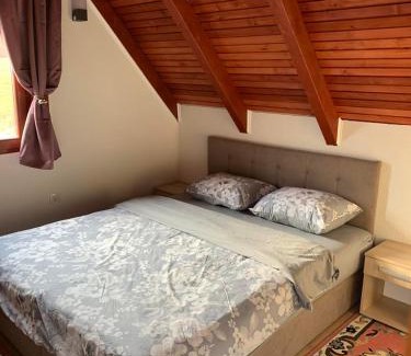 Laktasi Apartment | Brvnara Emilija