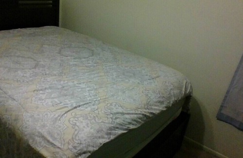 Carrollwood Bed & Breakfast | Bubble Space Pub