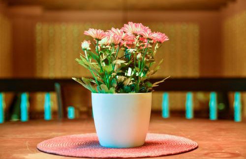 Altlandsberg House | Buchholz Saloon