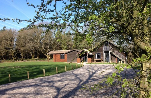 Staunton Cabin | Buckstone Log Cabin with Private Grounds Nestled Into The Natural Woodland