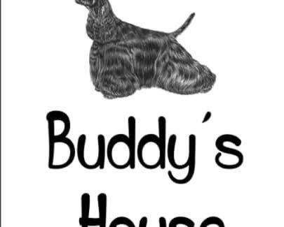 Abbadia Lariana Apartment | Buddy'S House