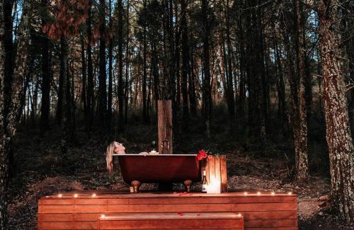 Budgee Budgee House | Budgee Budgee Farm - 33 Acres of Pure Bliss