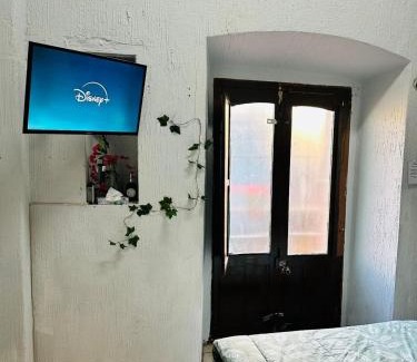 Zacatecas Centro Apartment | Bugambilias
