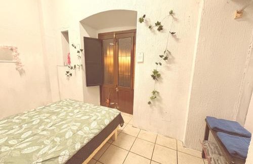 Zacatecas Centro Apartment | Bugambilias