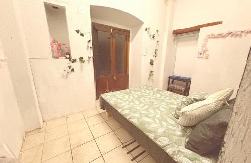Zacatecas Centro Apartment | Bugambilias