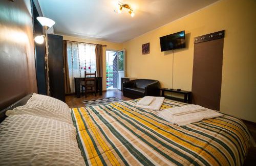 Focsani Apartment | Buget B&B