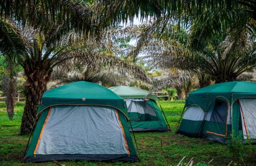 Bugala Island Resort | Bugoma Sand Beach