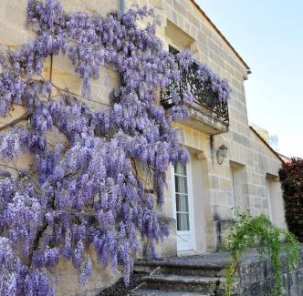 Laruscade Bed & Breakfast | Buisson gîte et chambre d'hôte