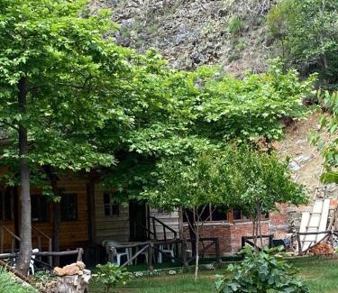Sakës Other | Bujtina Liqeni i Shkopetit