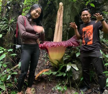 Bukit Lawang House | Bukitlawangtour and Accomodation