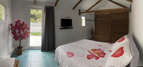Les Anses-d'Arlets Apartment | Bungalow "Doussin' Kreyol", au calme à 150m de la plage