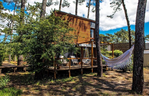Ofir House | Bungalow Ofir - Full of nature!