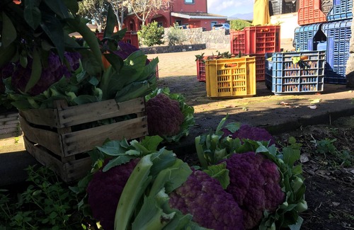 Aci Sant'Antonio House | Bungalow Verde Etna