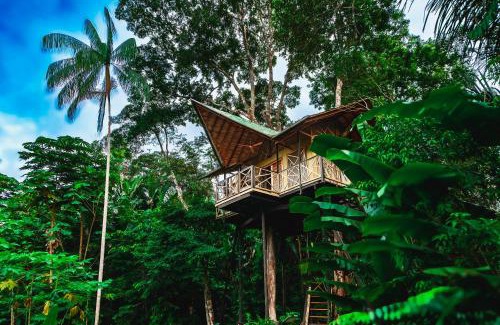 Leticia Hotel | Burú Nature Hotel