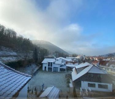 Bad Urach Apartment | Burgblick