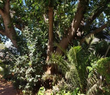 Bulawayo Bed & Breakfast | Burnham Road Suite Guest House