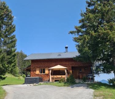 Buerserberg House | Burtscha Lodge