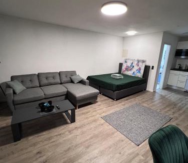 Weststadt Sudlicher Teil Apartment | Business Apartment Karlsruhe