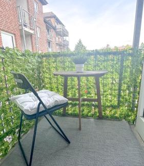 Osnabrueck Apartment | Business Apartment with Balcony