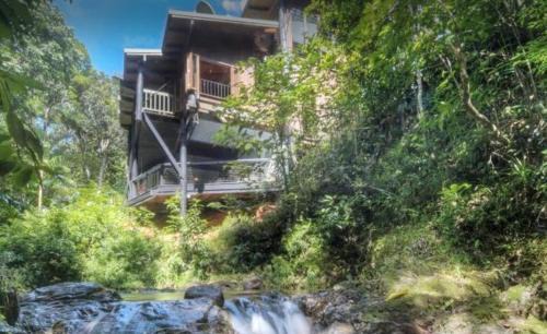 Cow Bay House | BUTTERFLY BEND - 3 Bedroom Daintree Beach House