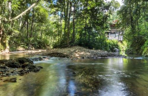 Cow Bay House | BUTTERFLY BEND - 3 Bedroom Daintree Beach House