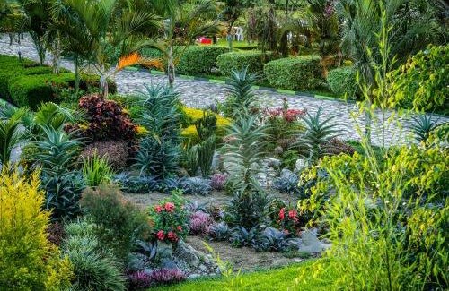 Western Region Hotel | Bwizi Resort and Gardens