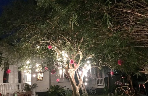 Bywater House | Bywater Wonderland, 2 blocks to the river, close to many good things!