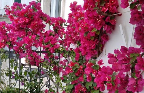 Alberobello Apartment | Cà Mea