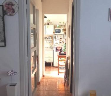 Cordon Apartment | Cálido apartamento a 8 cuadras del mar y a 3 de 18 Julio Estarán acompañados por una gatita que vive alli